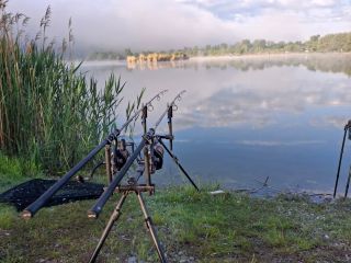 Noc nám opět žádnou rybu nepřinesla. Do konce závodu zbývají 3 hodiny, tak uvidíme zda se nám podaří nějaký přepis. 🐟🎣...